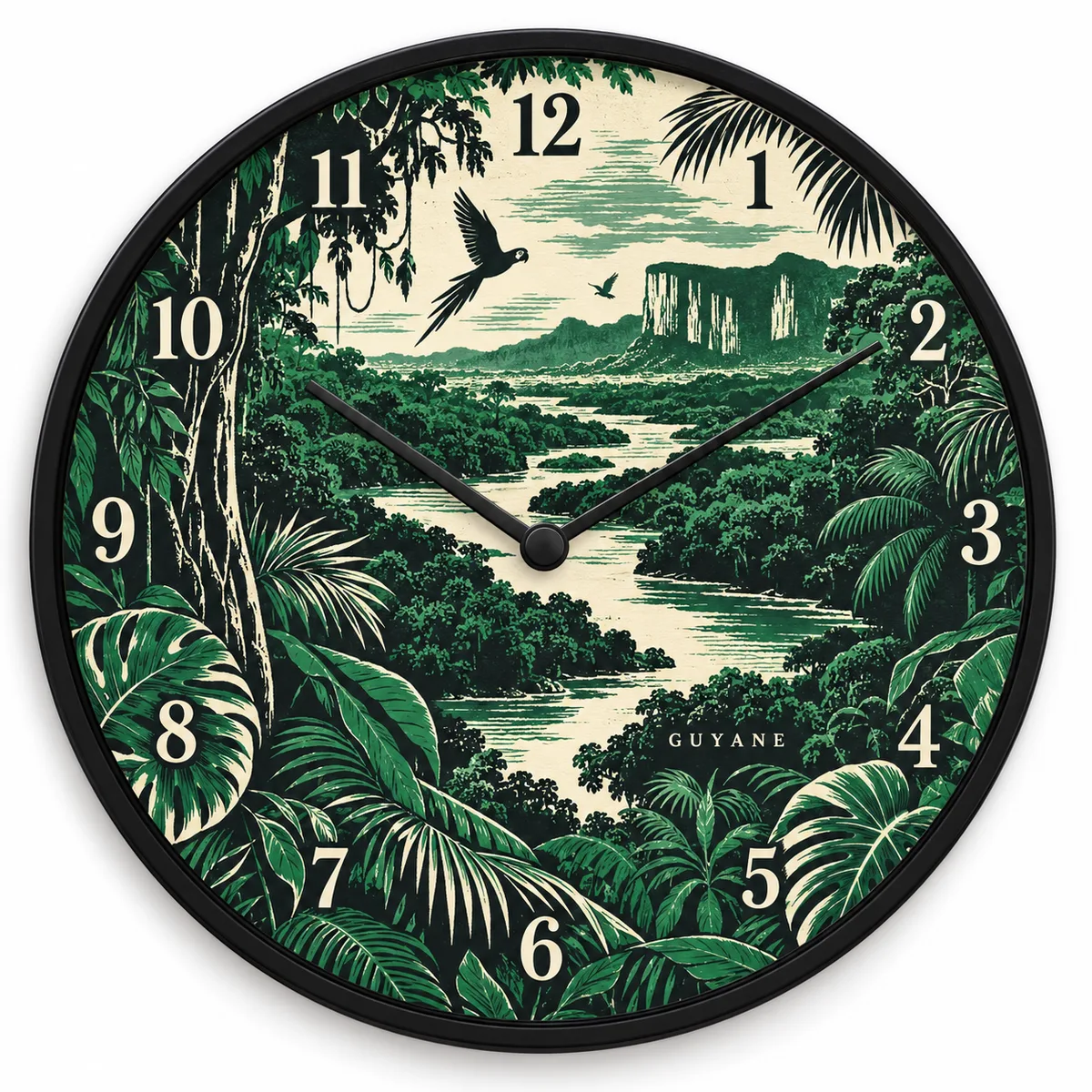 Horloge Guyane — visuel de présentation